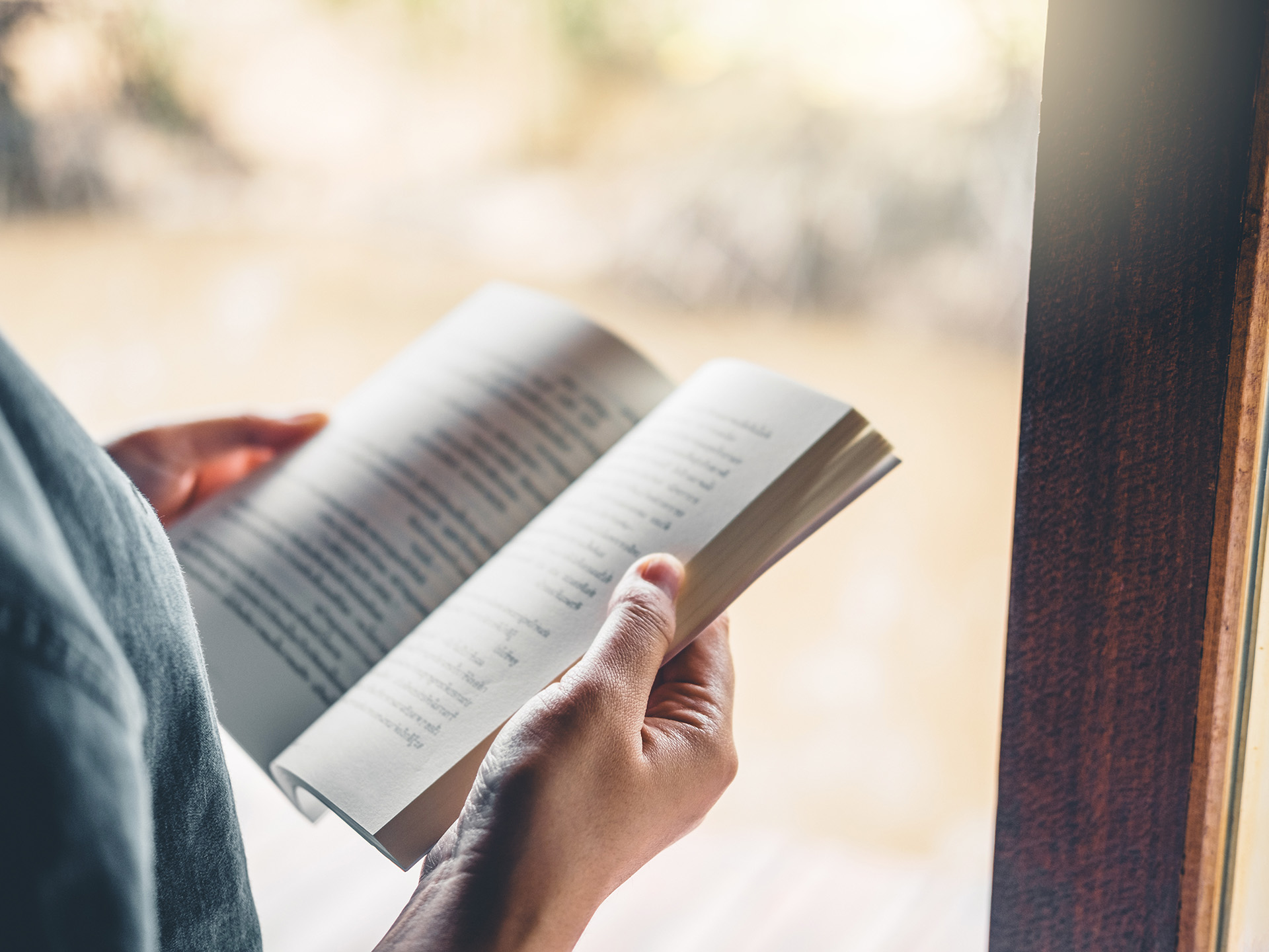 Frau, Lesen, Buch, Bibliothek